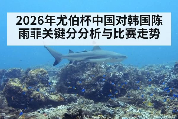 2026年尤伯杯中国对韩国陈雨菲关键分分析与比赛走势